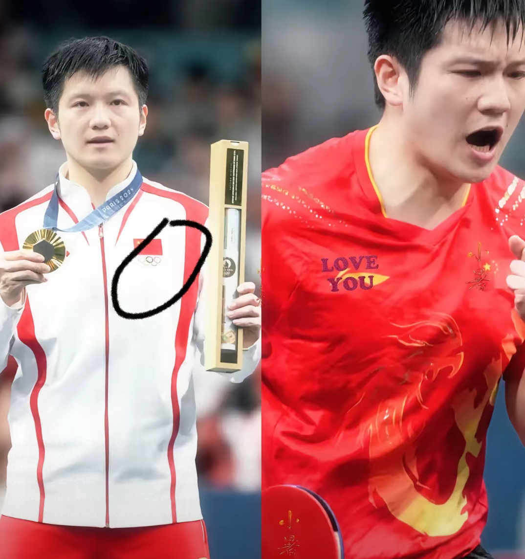 瑞典队险胜法国队，樊振东扛起全队的简单介绍