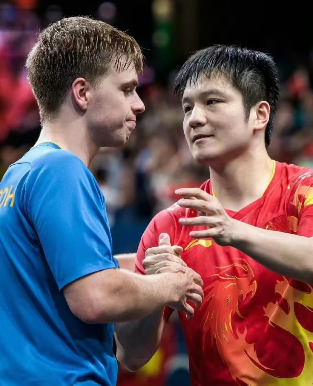 瑞典队险胜法国队，樊振东扛起全队的简单介绍