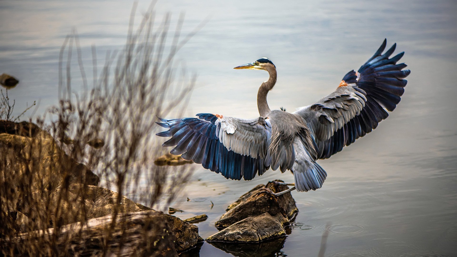 雷霆击穿铁壁，新王加冕夜—西亚卡姆里程碑之战淬炼硬核胜利
