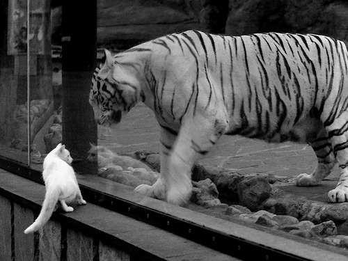 复仇者呼啸而过，当德布劳内用手术刀切割旧伤疤