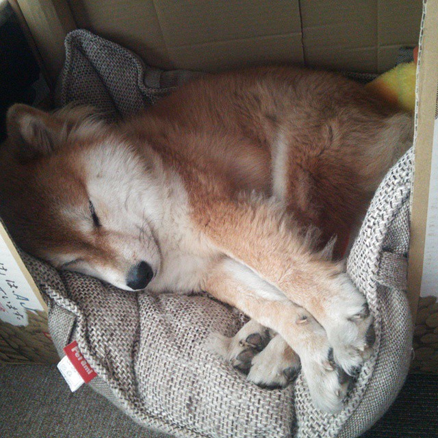 冰封时刻，英格拉姆用钢铁防线，将浙江队的锋芒冻在了记分牌之外