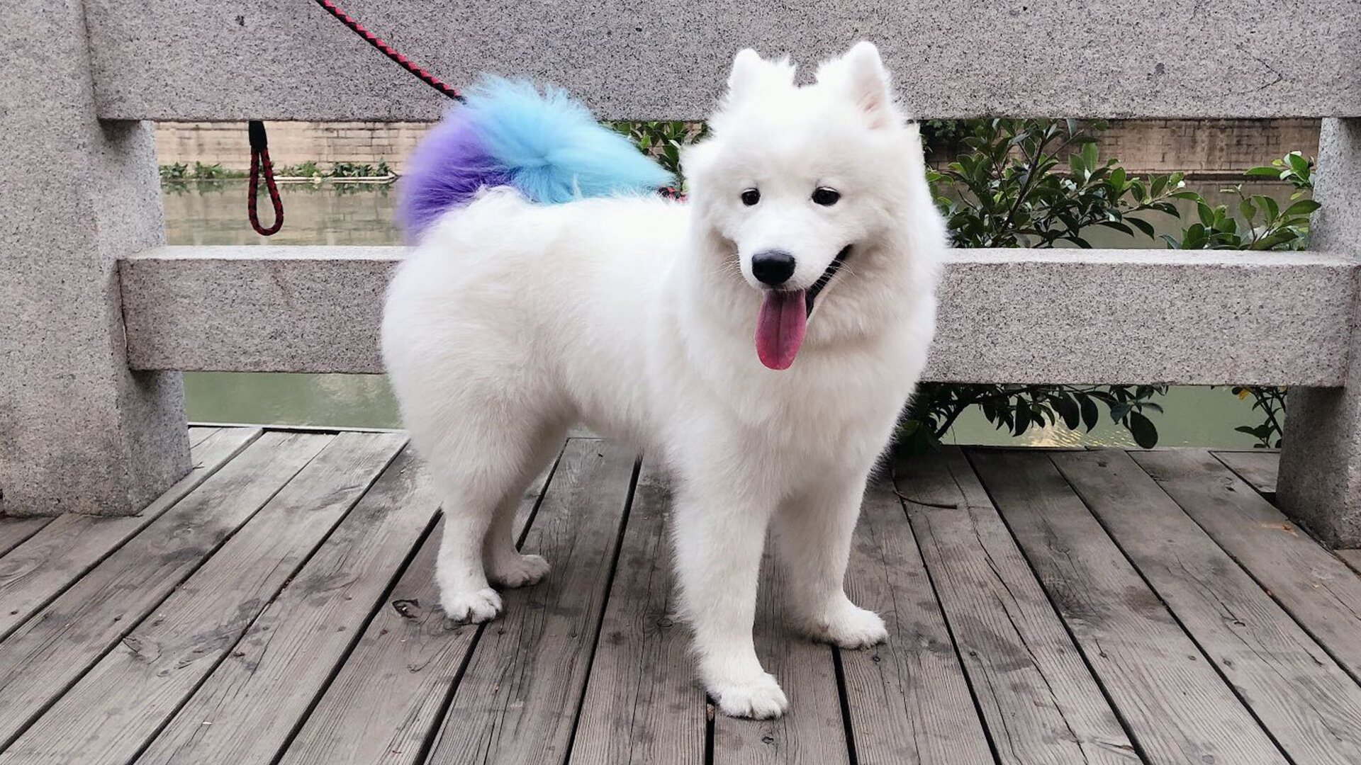 开云体育入口-当艺术的闪电劈中工业化堡垒，内马尔炫技夜难阻比利时铁骑碾碎意式防守