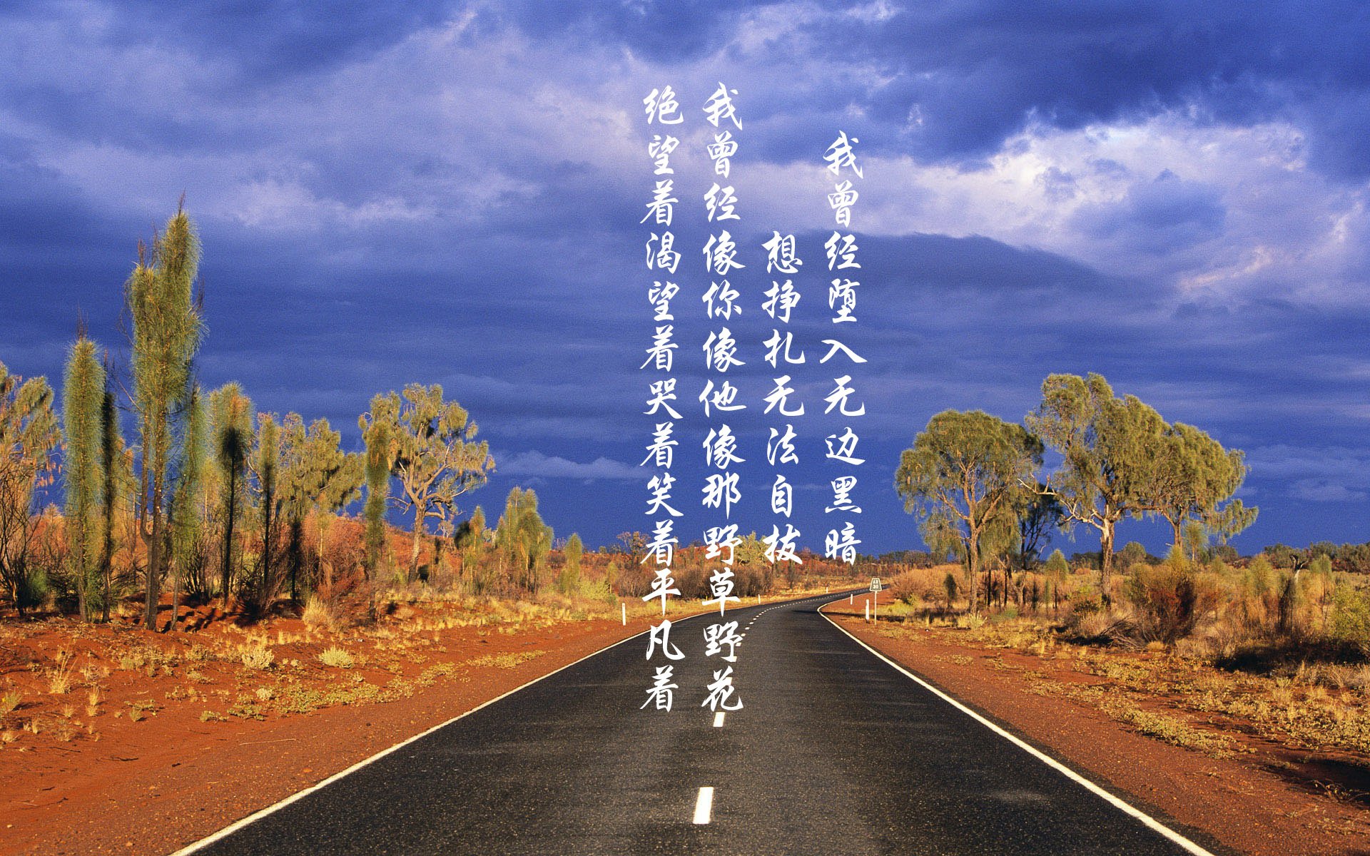 死亡之组的血色黄昏,当袋鼠军团撕碎太极虎,吉鲁用不老神话照亮卡塔尔夜空