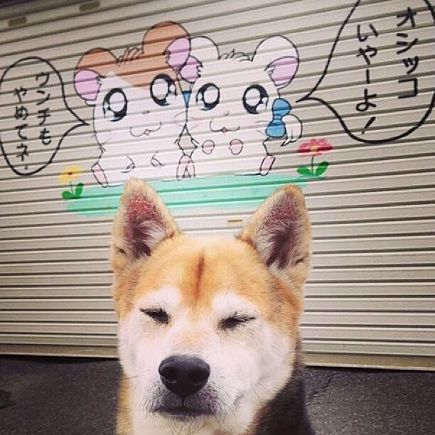摩洛哥的神谕与福登的开天眼,一场定义唯一性的足球战役
