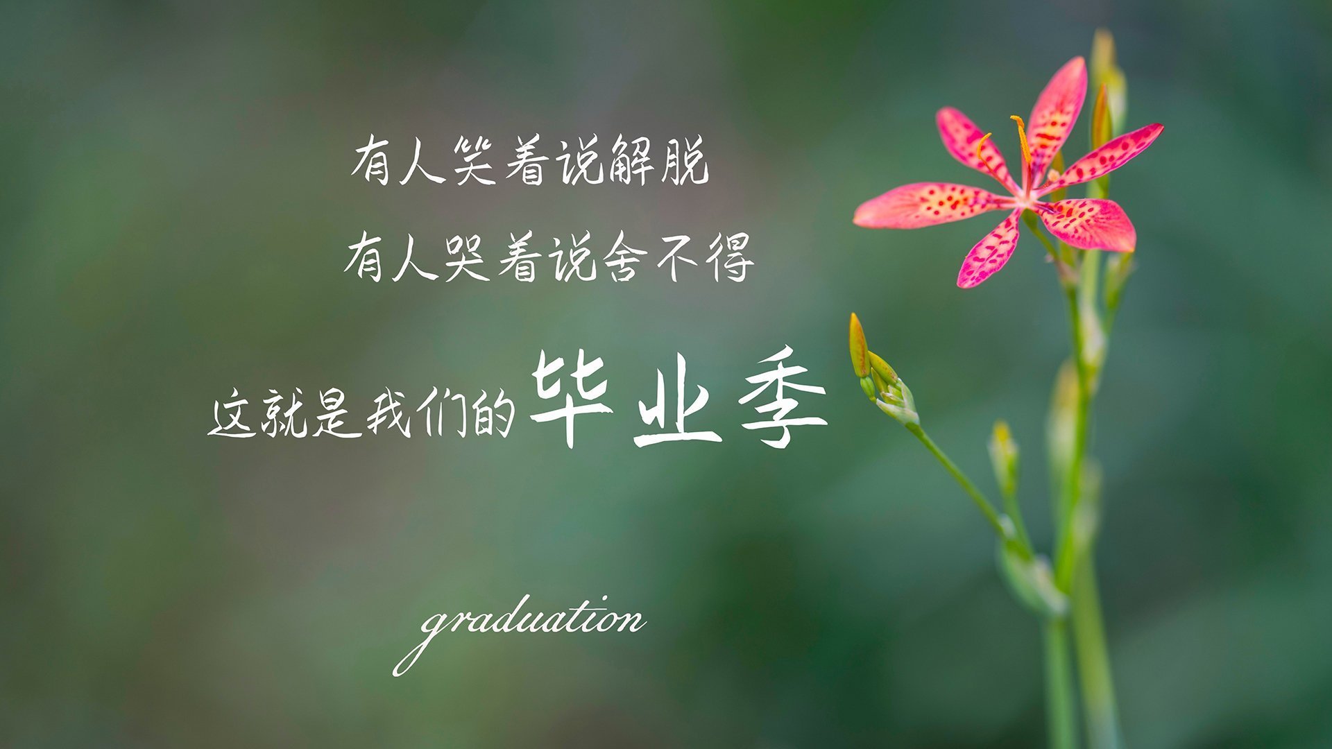 (扩展思维后的选择)
