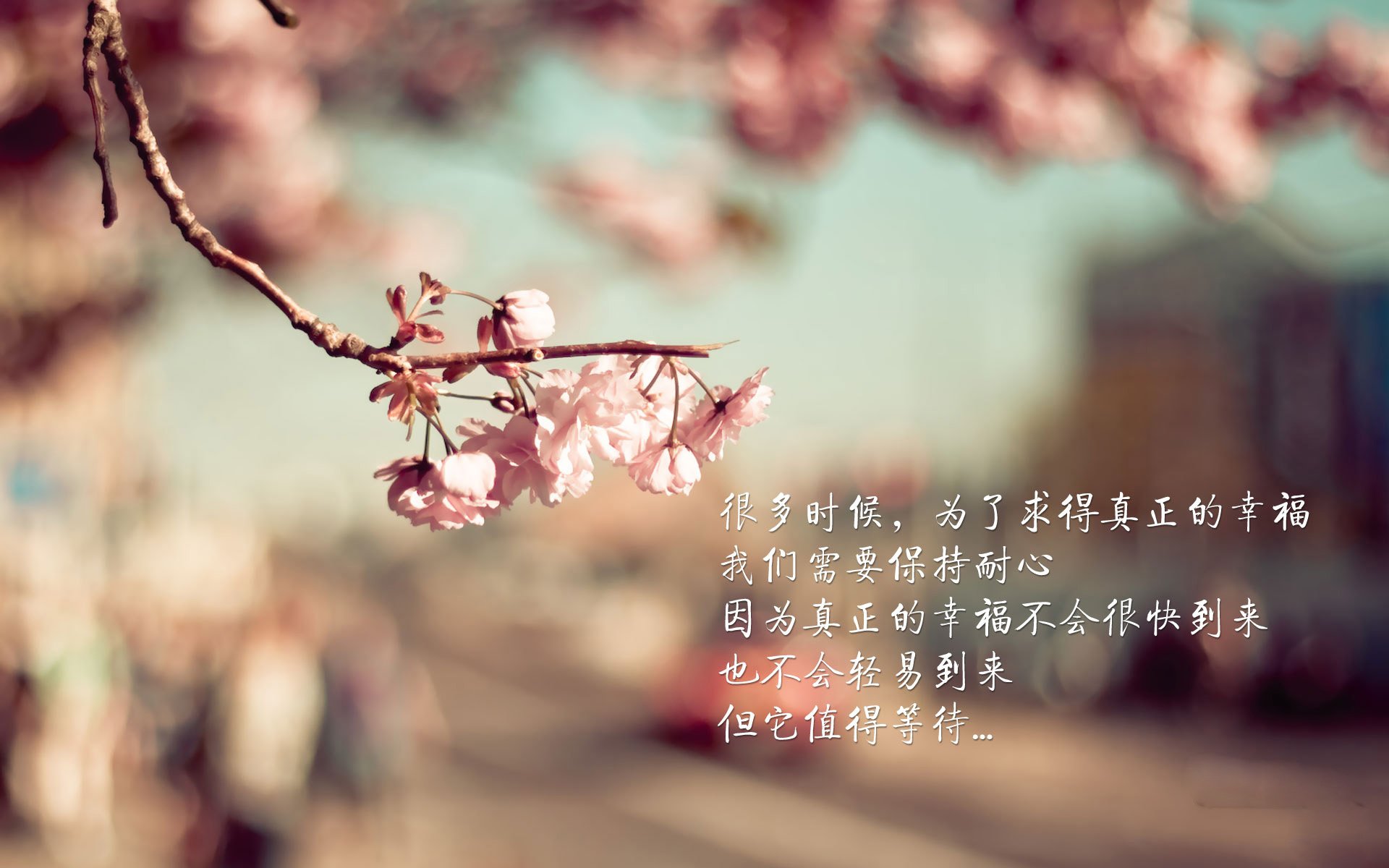 塔雷米独木难支,荷兰默契洪流碾压尼日利亚—美加墨世界杯焦点战全景复盘