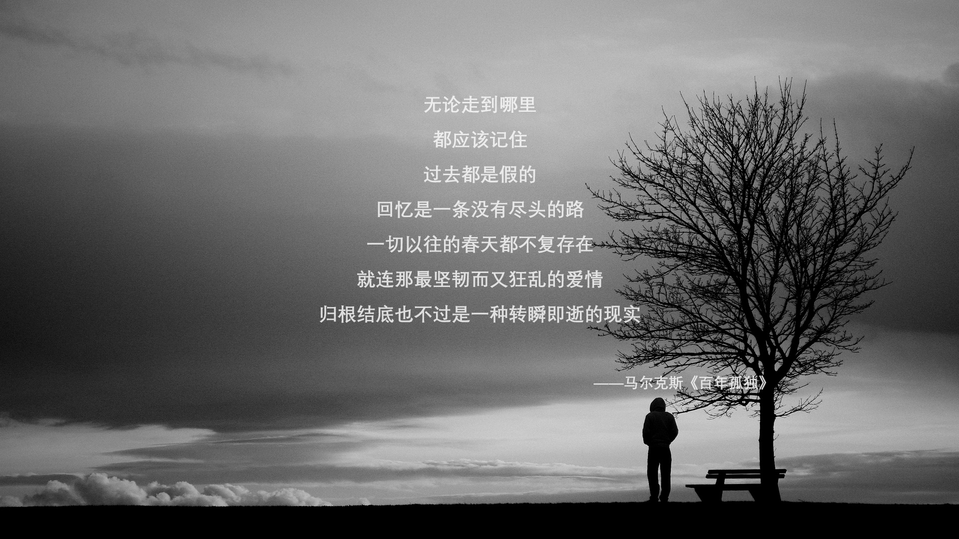开云体育-沙漠之狐的孤注一掷，孙兴慜的亚洲之光，刺穿了郁金香王朝的橙色夜幕